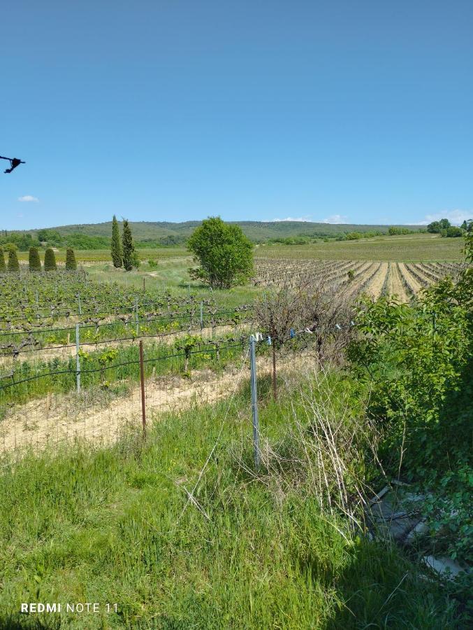 Privatunterkunft D Hotes En Provence, Au Pied Du Luberon, Les Coquelicots