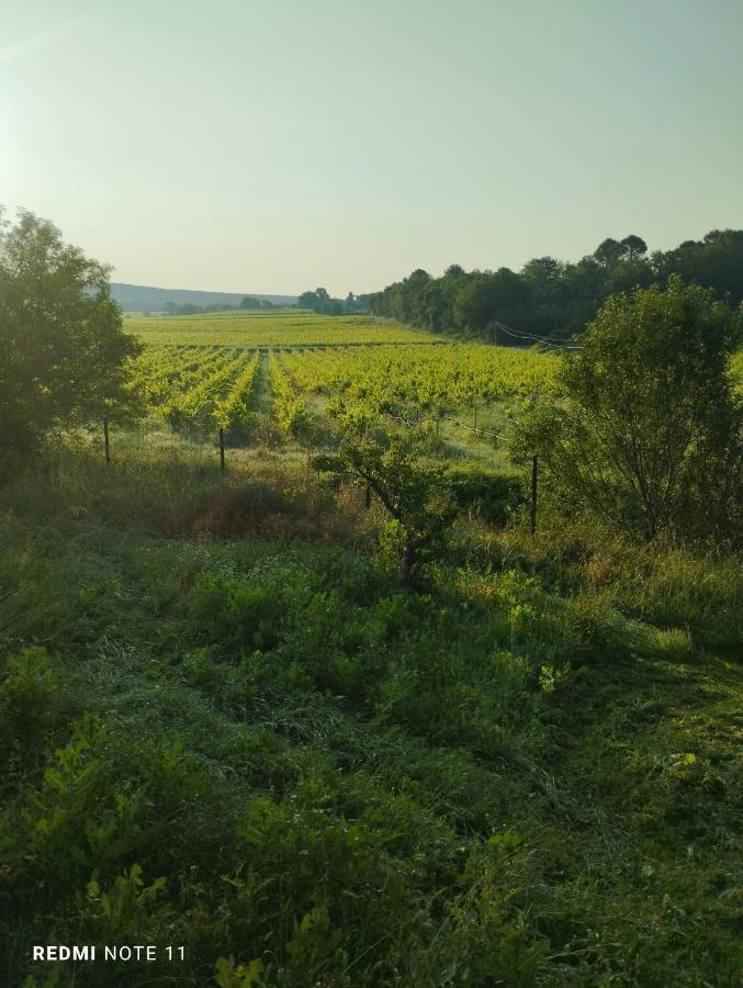 Homestay D Hotes En Provence, Au Pied Du Luberon, Les Coquelicots