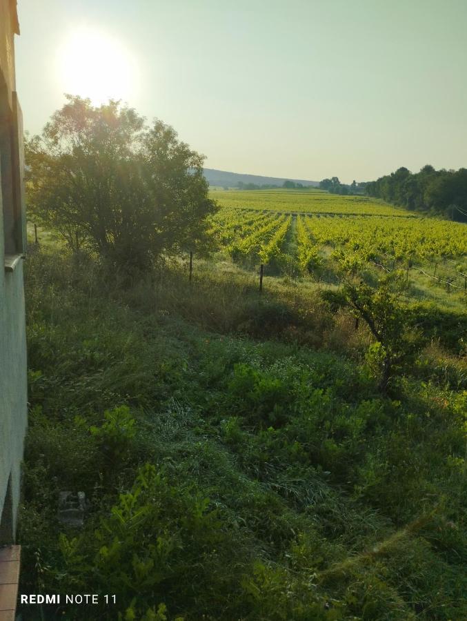 D Hotes En Provence, Au Pied Du Luberon, Les Coquelicots